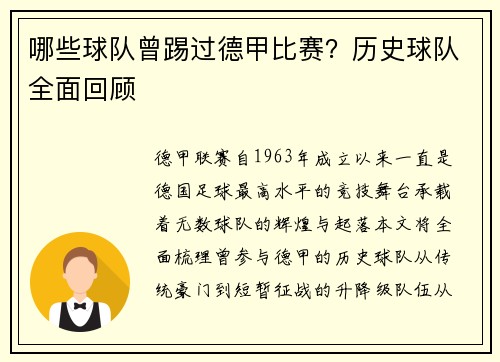 哪些球队曾踢过德甲比赛？历史球队全面回顾